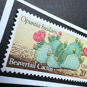 Beavertail Cactus Desert Plant Framed Postage Stamp Art 4x4 USA #1944